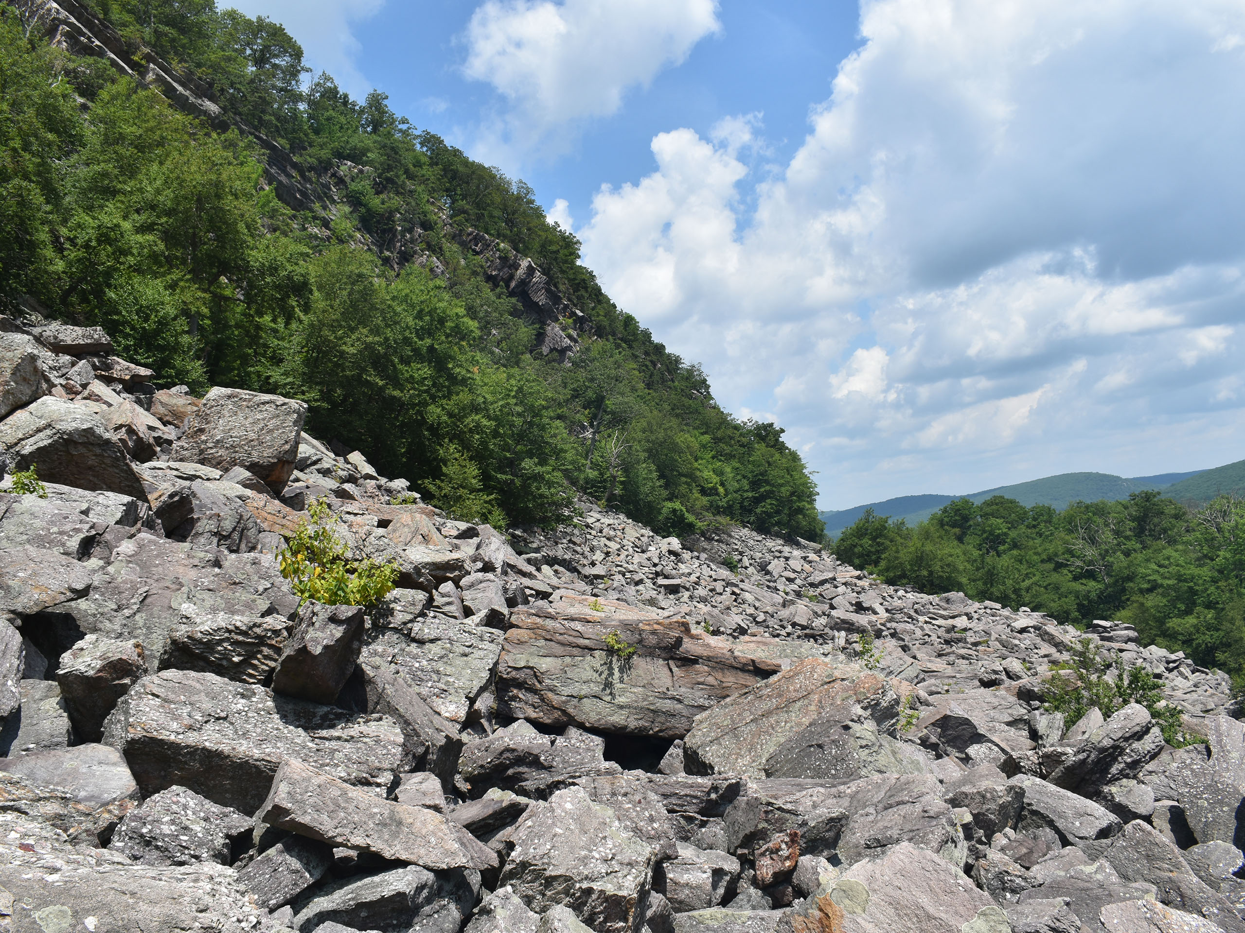 NJDEP| Watershed & Land Management | Protected Areas