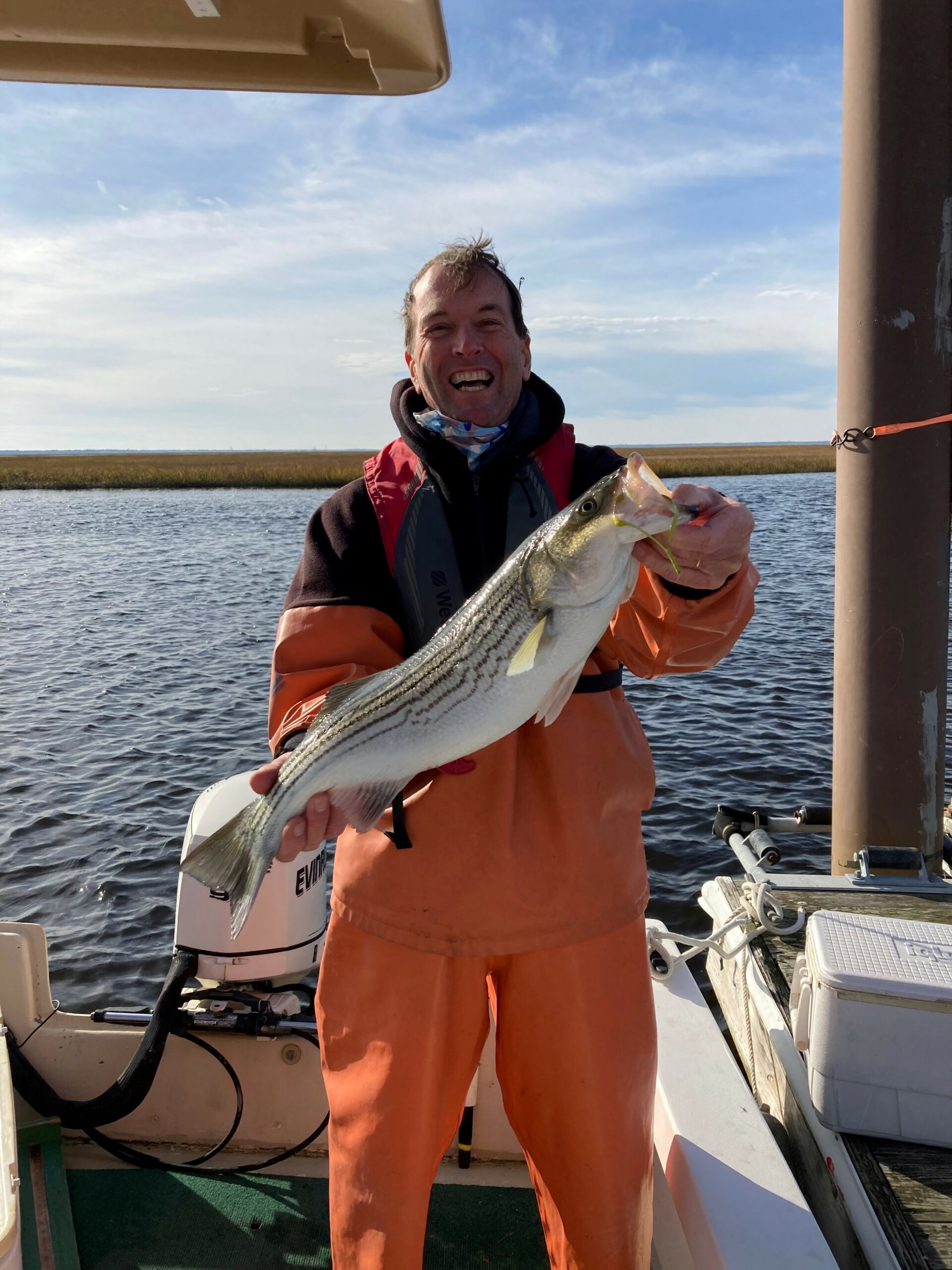 Striped Bass…Morone saxatilis - North and South Rivers Watershed
