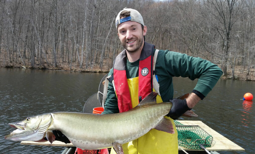 Biologist with muskellunge