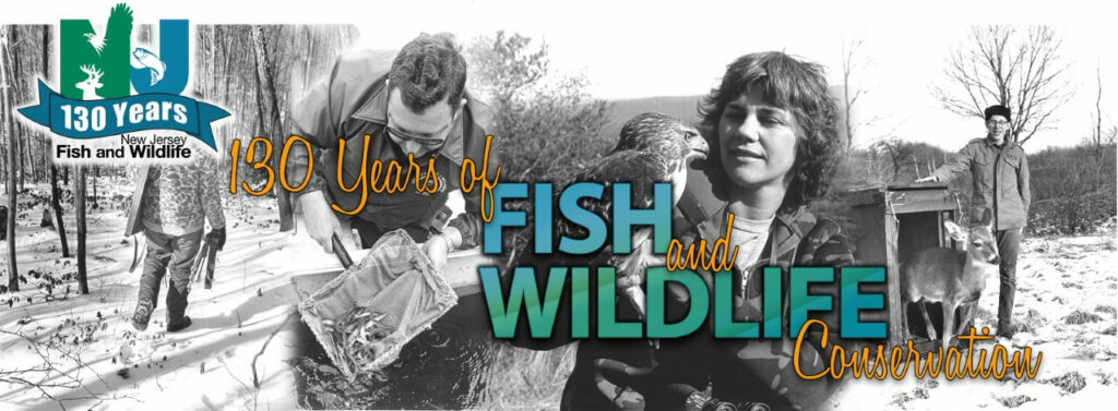 Wildlife Wars: The Life and Times of a Fish and Game Warden