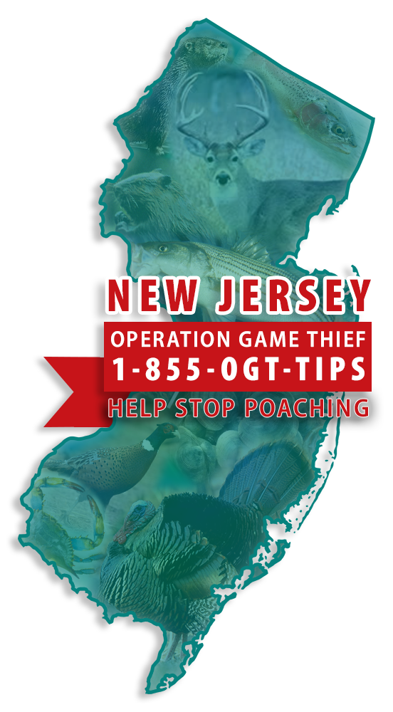 NJDEP, Fish & Wildlife