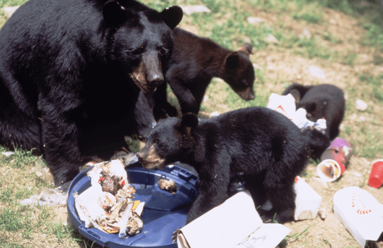 NJDEP, Fish & Wildlife