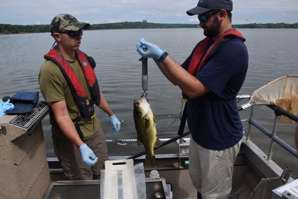 fish tissue-sampling