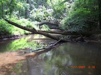 sibi stream
