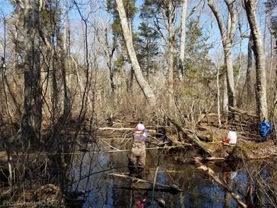sw-Tuckahoe River