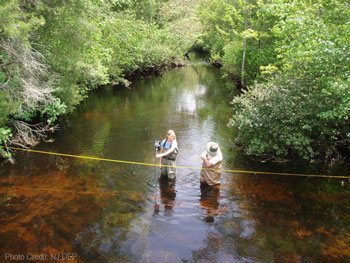 brook measuring