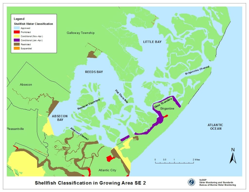 NJDEP| Bureau of Marine Water Monitoring | South East Reports