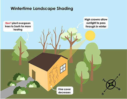 Wintertime Landscape Shading Wintertime Landscape Shading