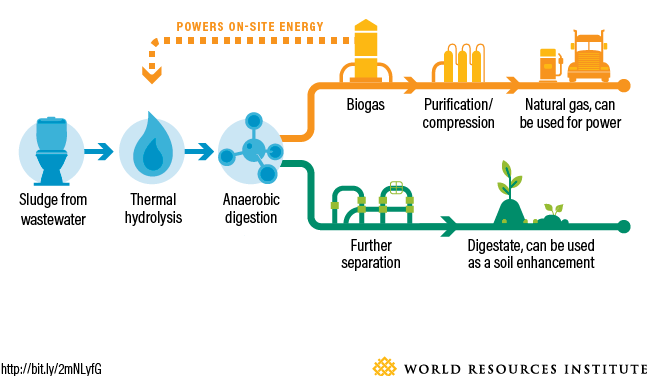 Steeper Energy enters agreement with Topsoe to introduce complete  waste-to-biofuel solution