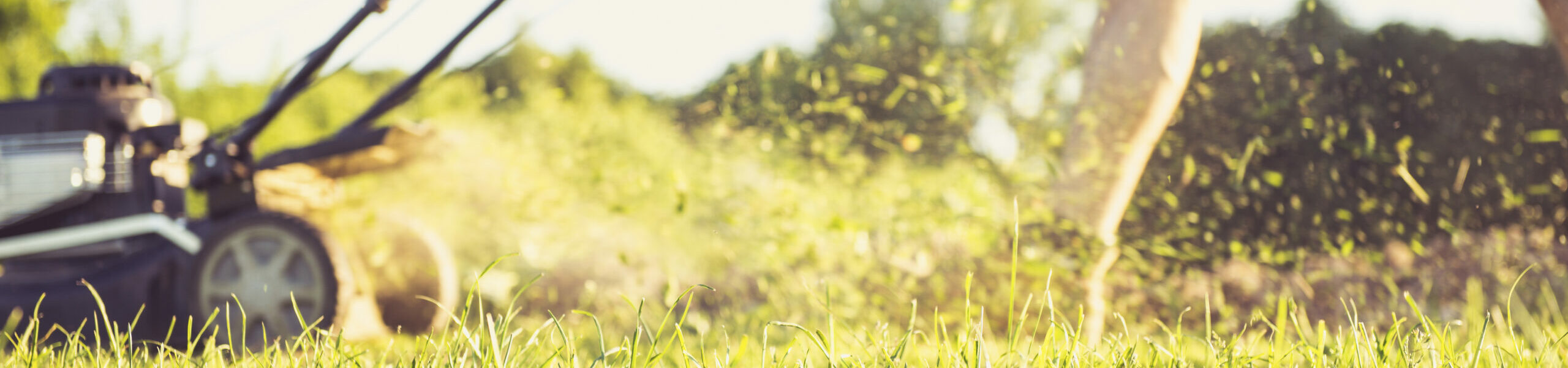 Low section of man mowing grassy field in yard against sky during sunset