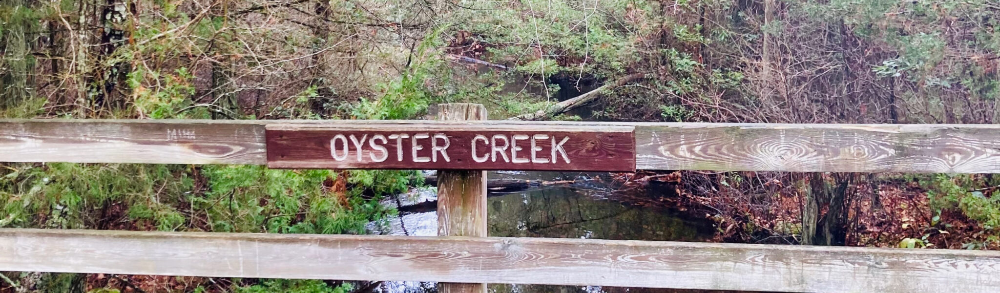 NJDEP Division of Science and Research Oyster Creek Nuclear