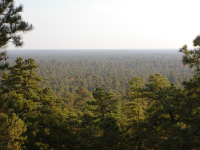 Protecting the Pine Barrens