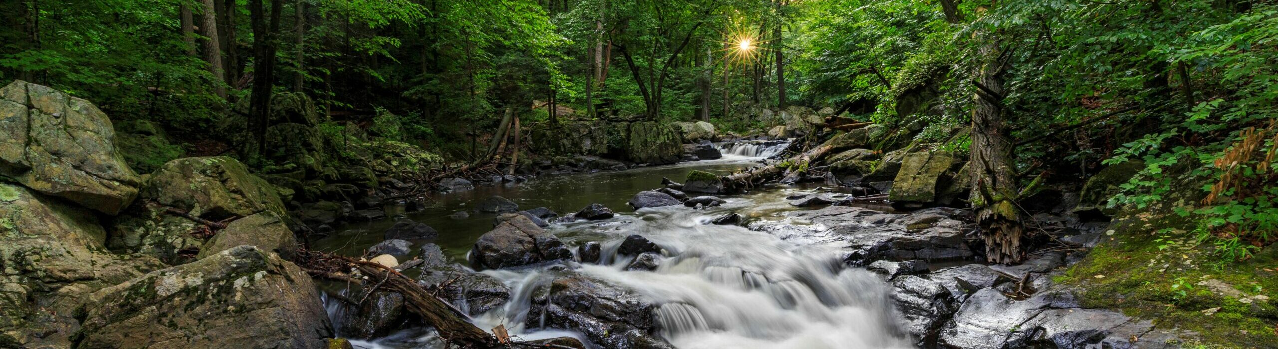 Protecting New Jersey's Open Spaces