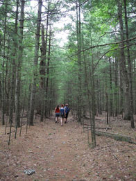 New Jersey's rail trails - New Jersey Conservation Foundation