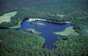 Aerial image of lake in a wooded area