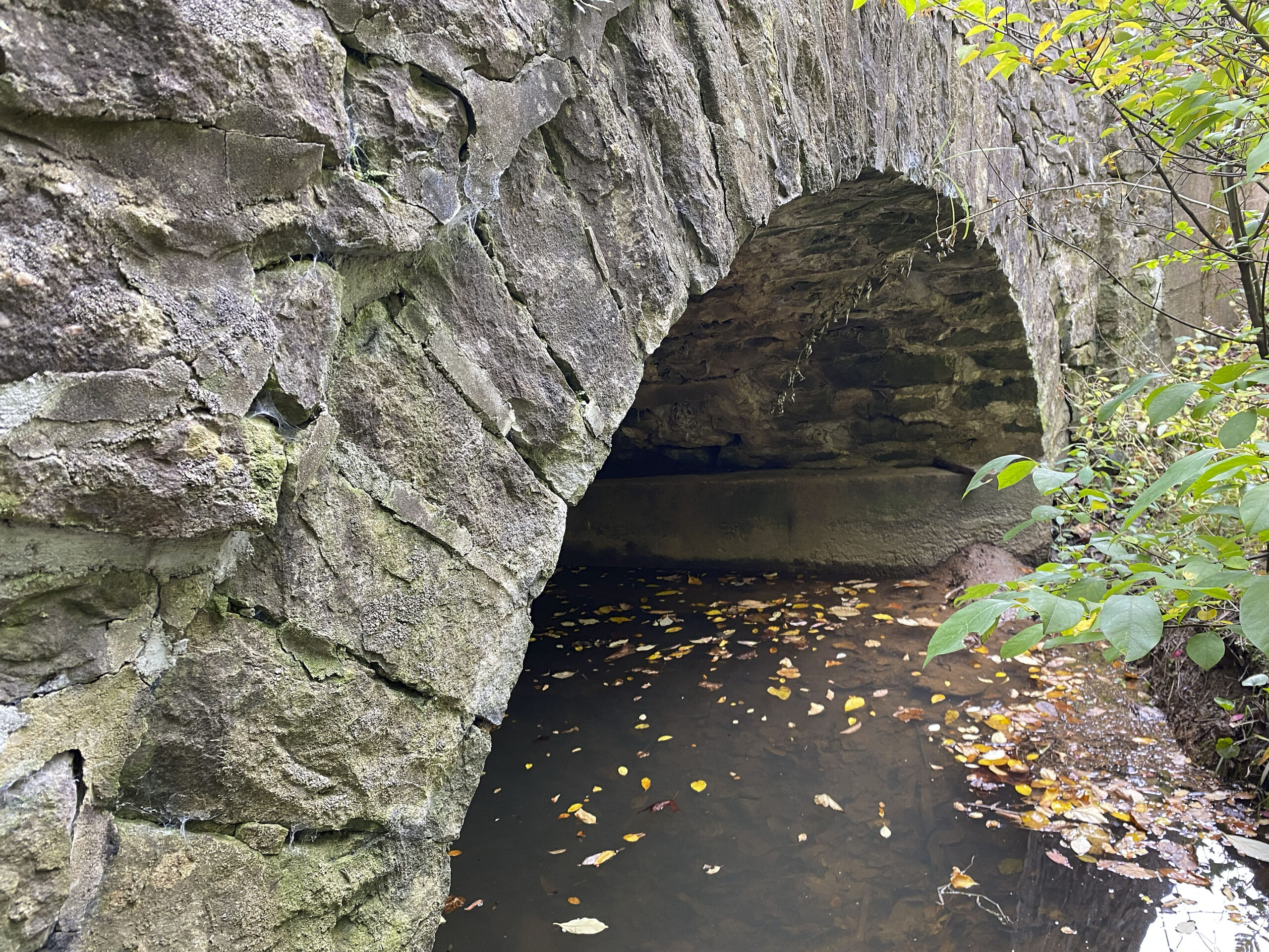 New listings — 3/17/2025 (under Historic Bridges of Delaware