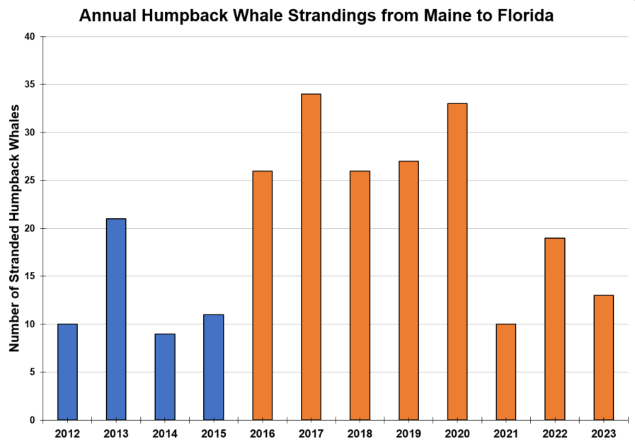 Annual Humpback Whale Strandings