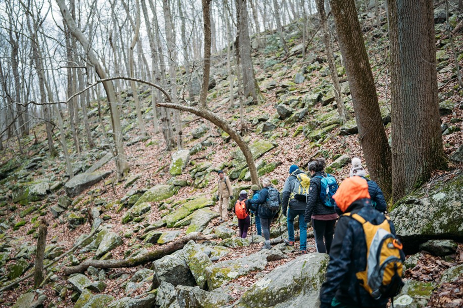 NJDEP News Releases Step Into 2025 With A Scenic First Day Hike In