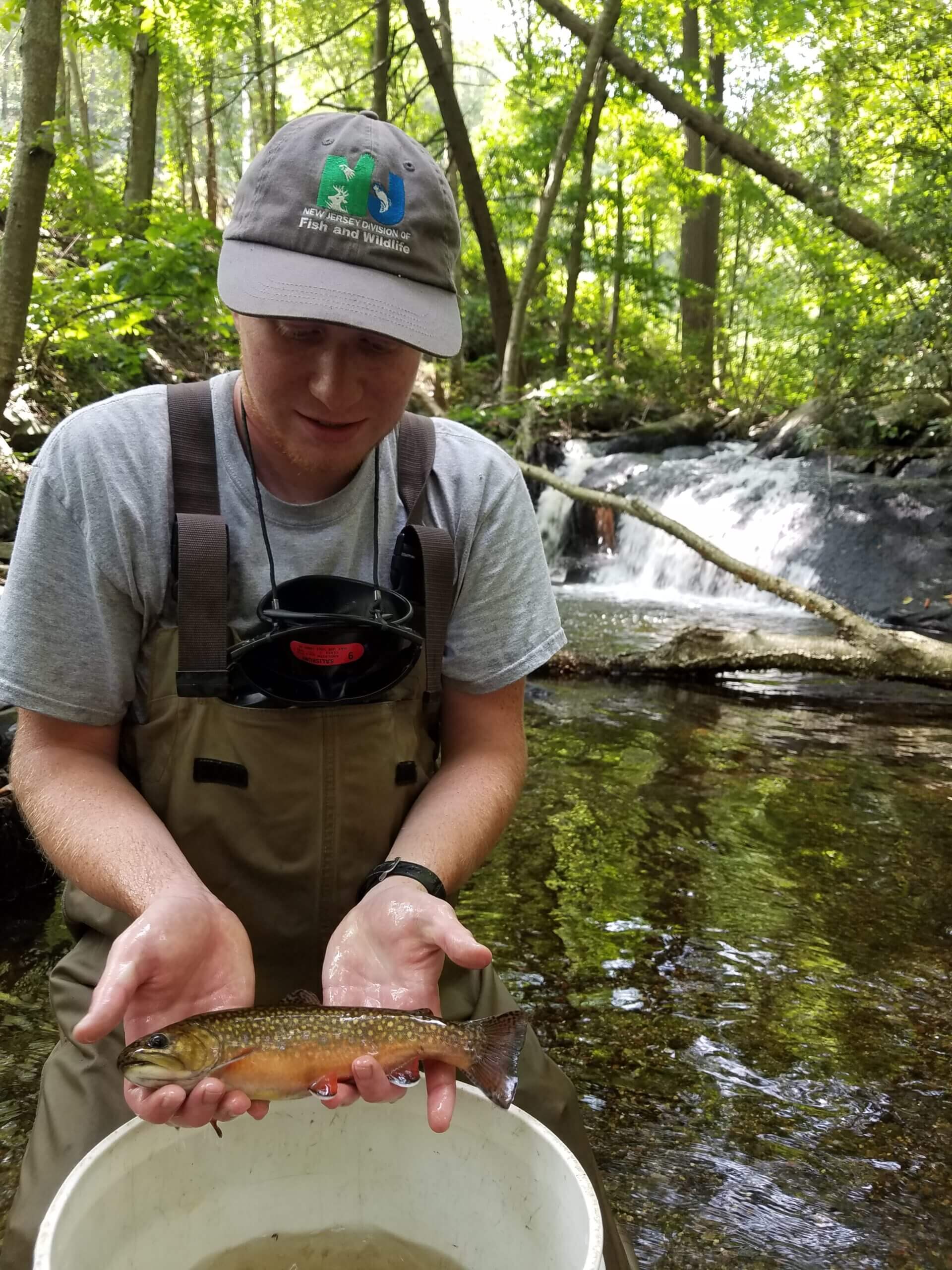 NJDEP| Fish & Wildlife | Stream Temperature Monitoring