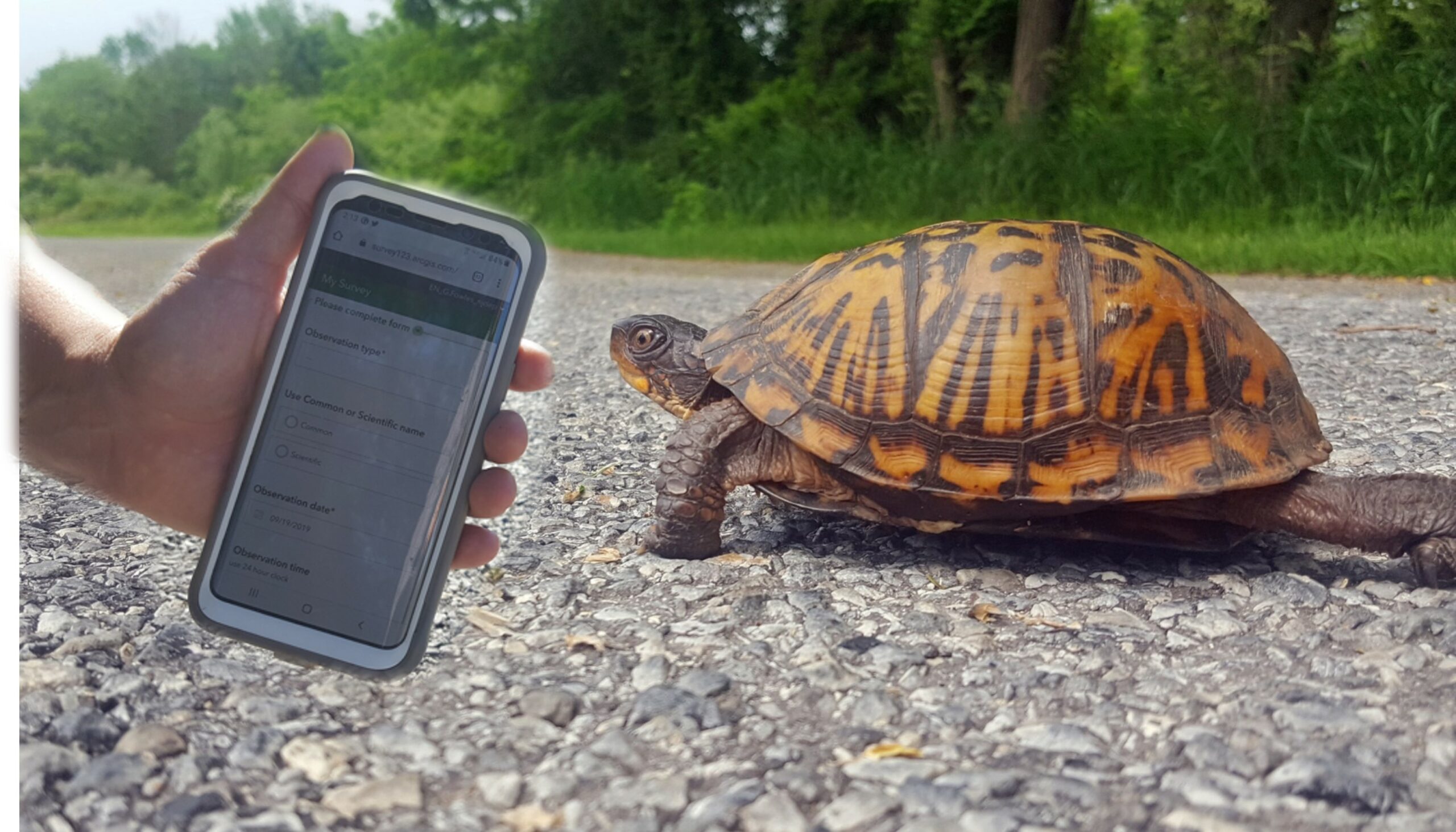 NJDEP| Fish & Wildlife | Tools of CHANJ