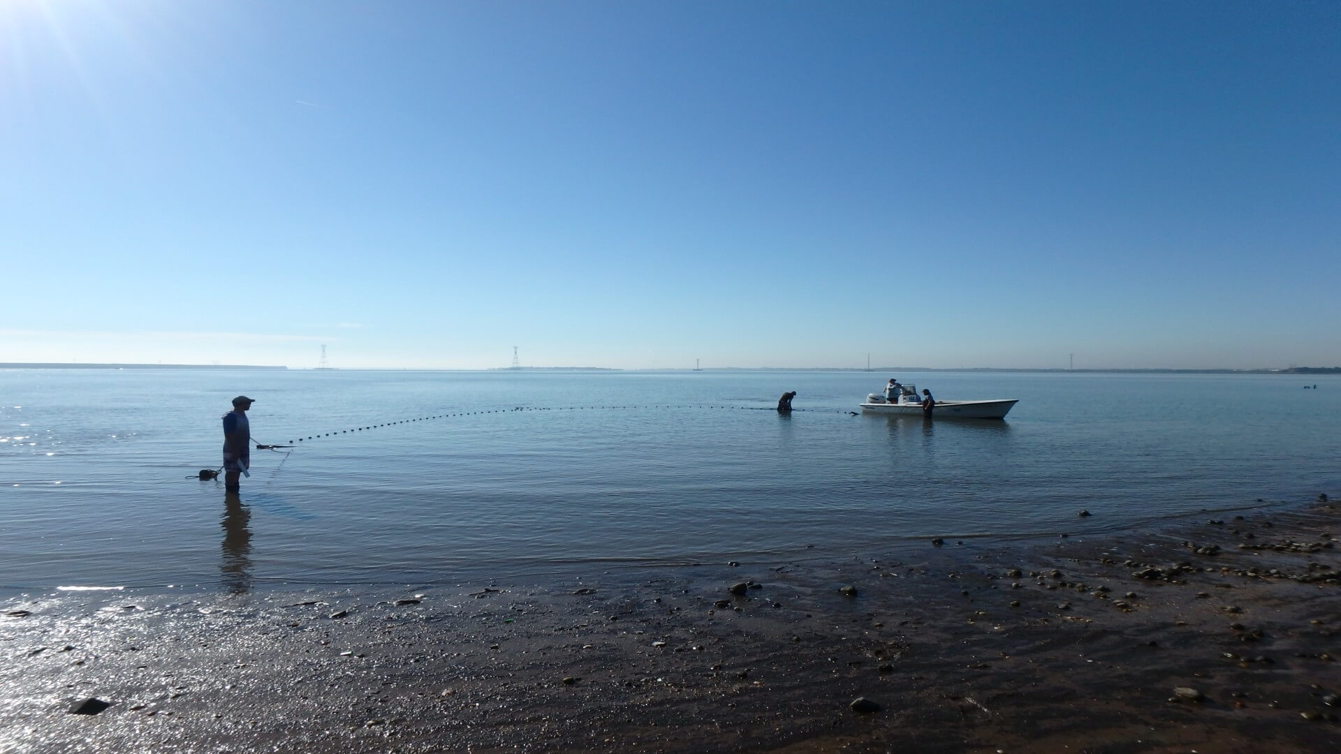 NJDEP Fish & Wildlife Delaware River Striped Bass Recruitment Seine