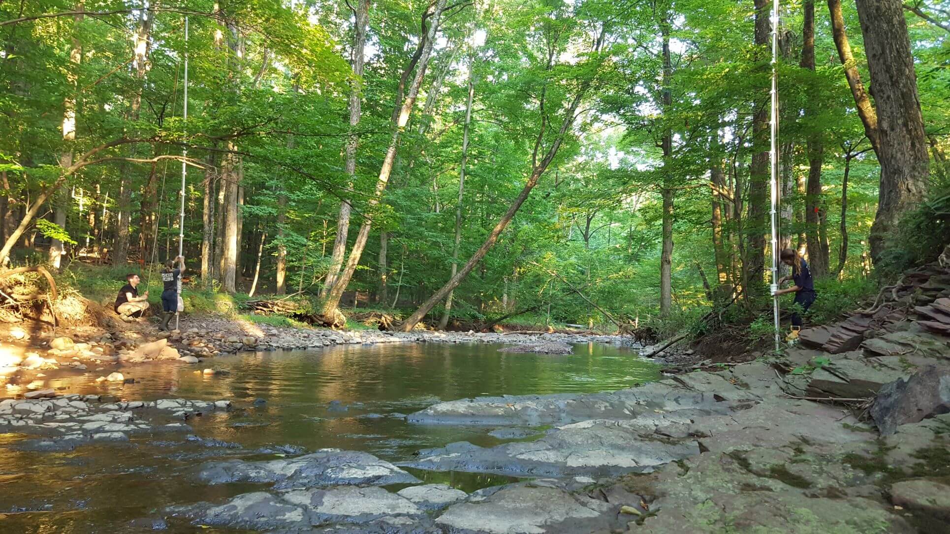 NJDEP Fish & Wildlife Bat Conservation