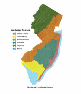 NJDEP| Fish & Wildlife | Watch Wildlife by Region