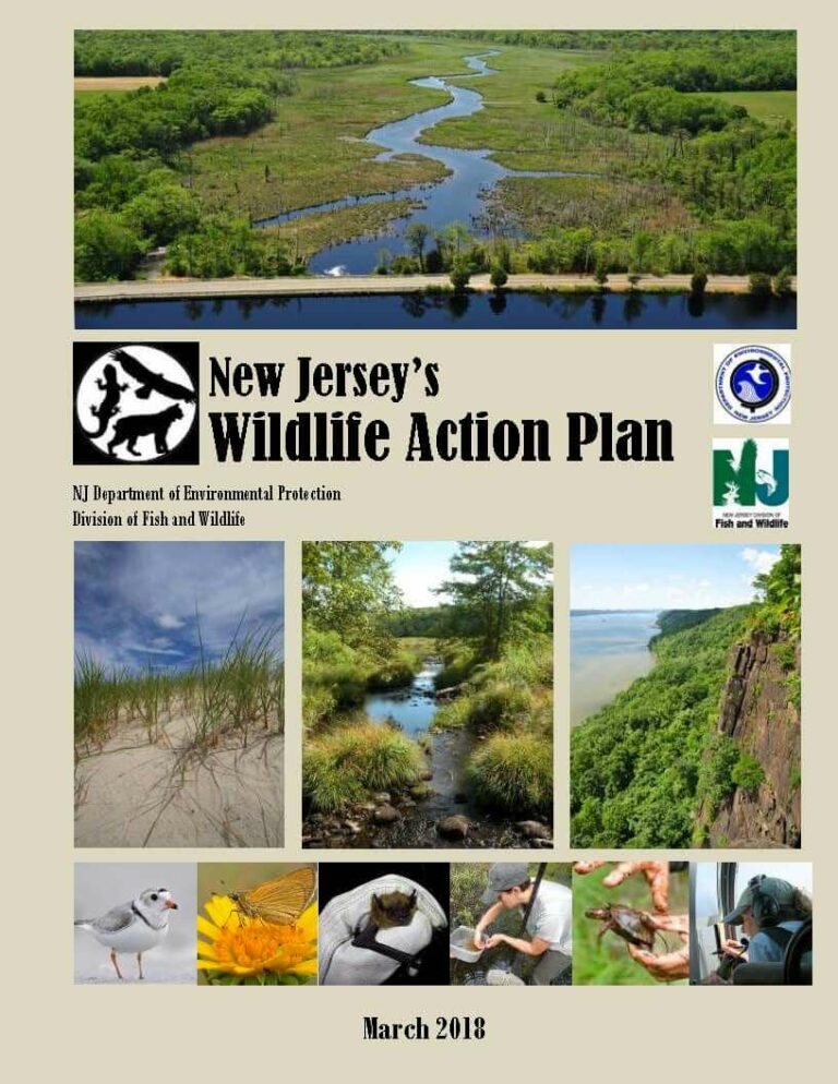 NJDEP| Fish & Wildlife | New Jersey's State Wildlife Action Plan