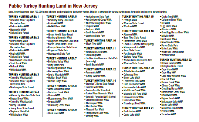 NJDEP| Fish & Wildlife | Wild Turkey in New Jersey