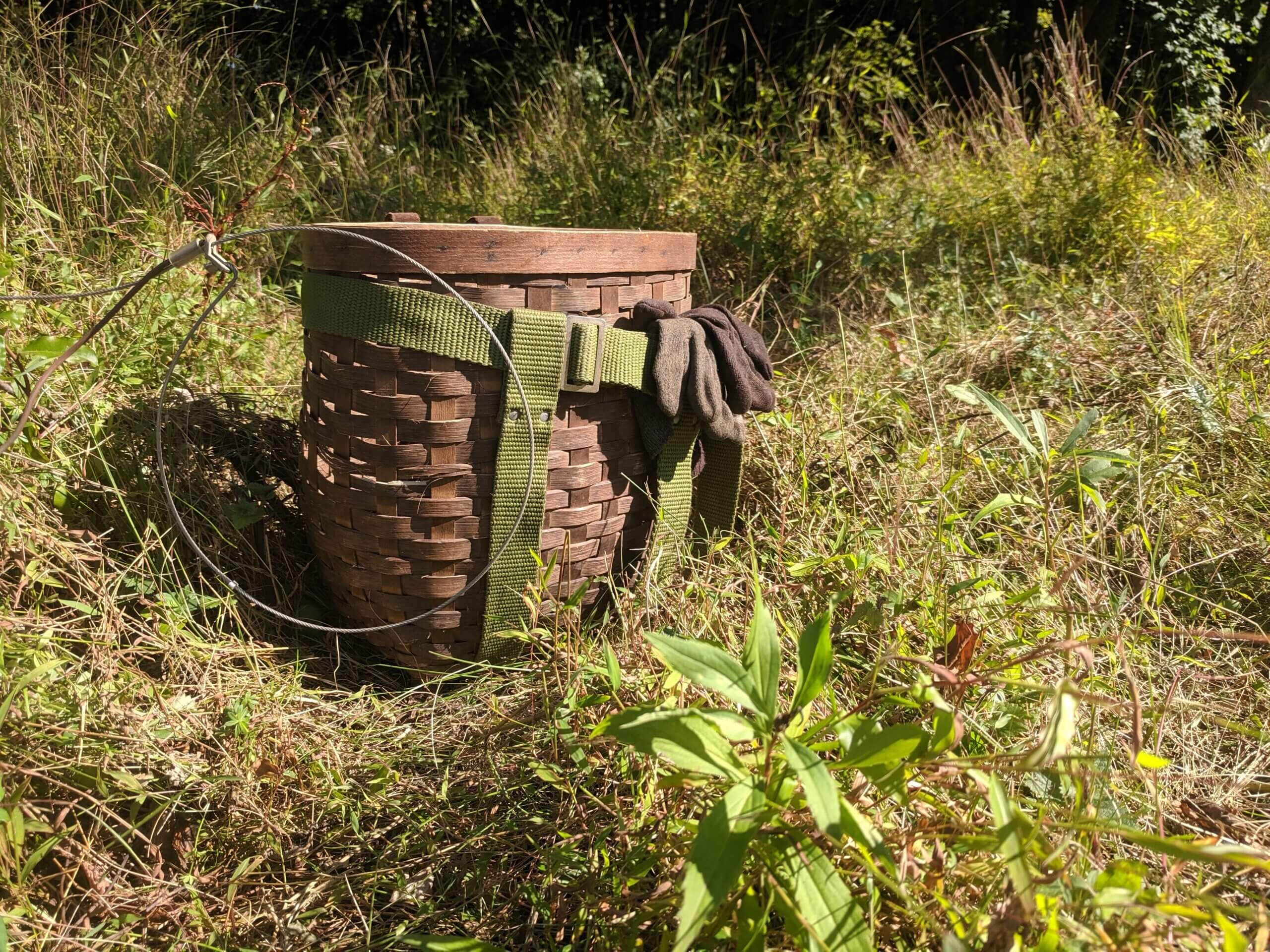 NJDEP Fish & Wildlife Trapper Education and Trapping Season Information