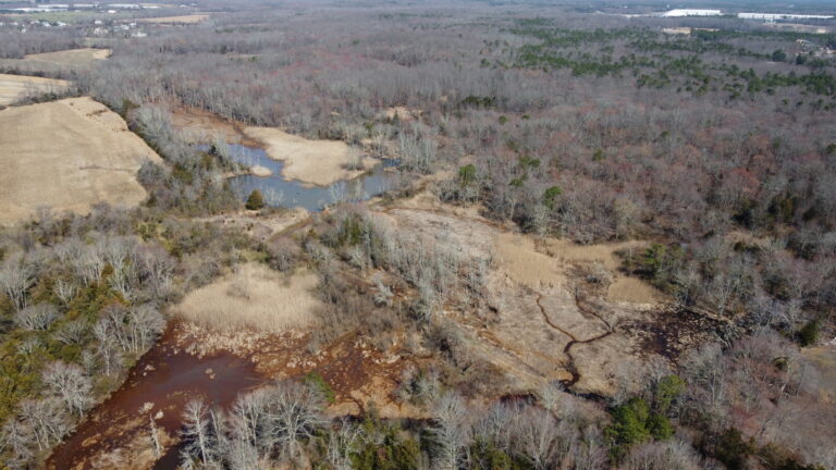 Wma Of The Month – Prospertown Lake - Nj Division Of Fish And Wildlife 