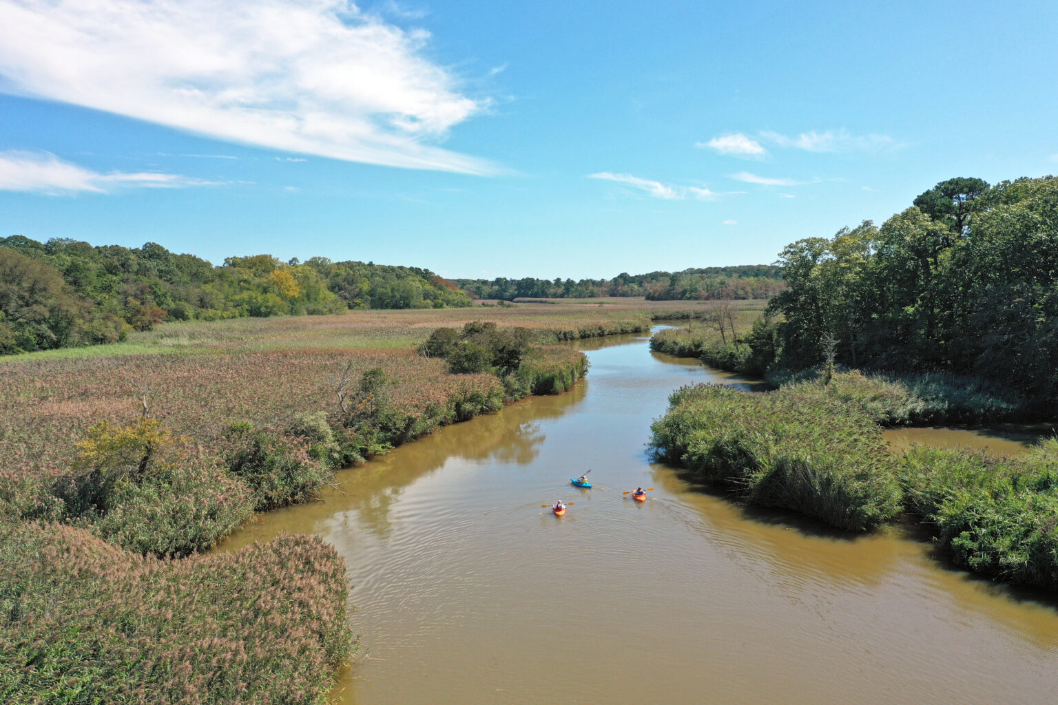 NJDEP Fish & Wildlife WMA of the Month Manasquan River