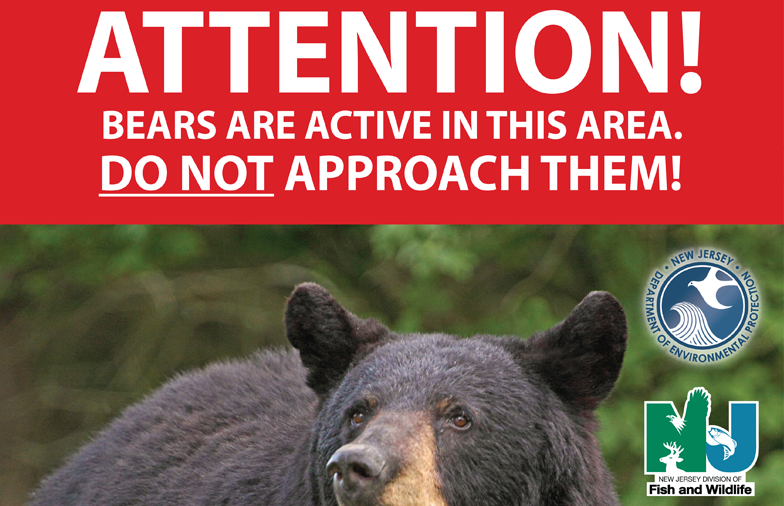 Approach — Bear Process Safety