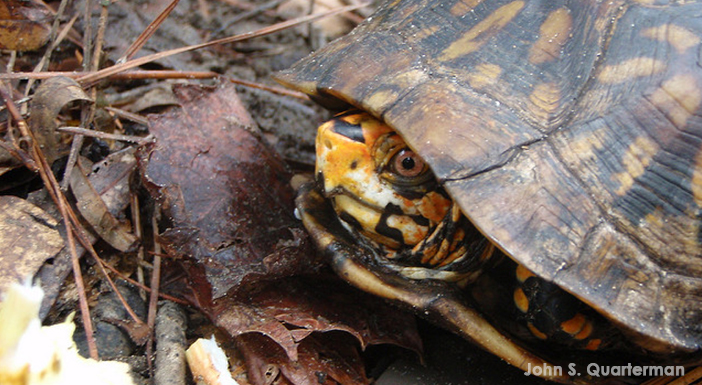 NJDEP| Fish & Wildlife | Sparta Mountain WMA - Wildlife Habitats