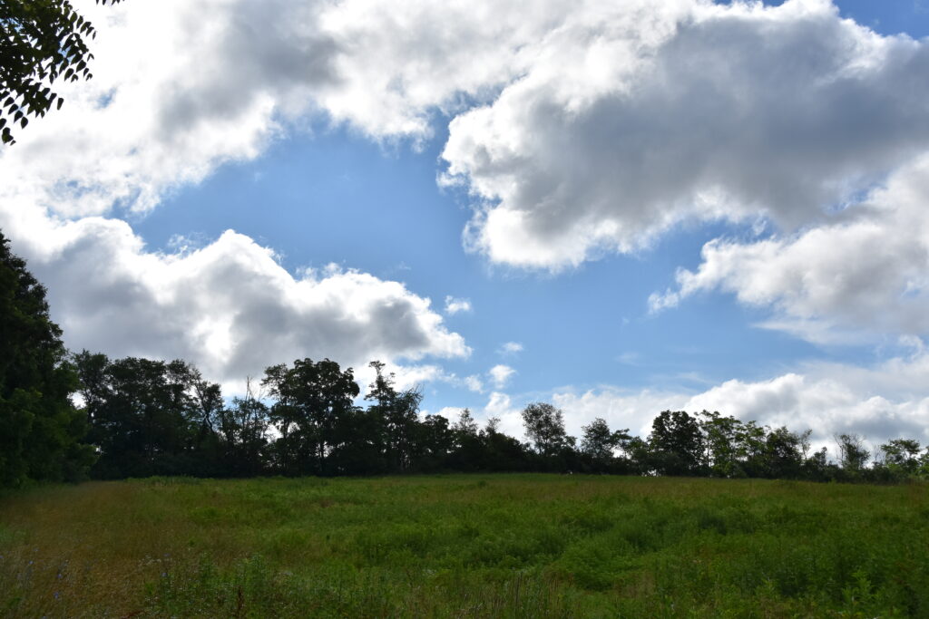 NJDEP Fish & Wildlife WMA of the Month Clinton