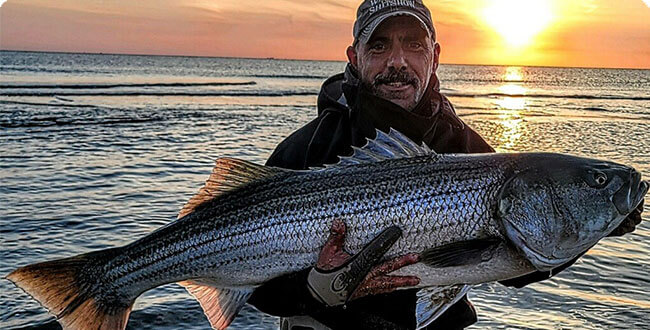 Marine Fish & Wildlife
