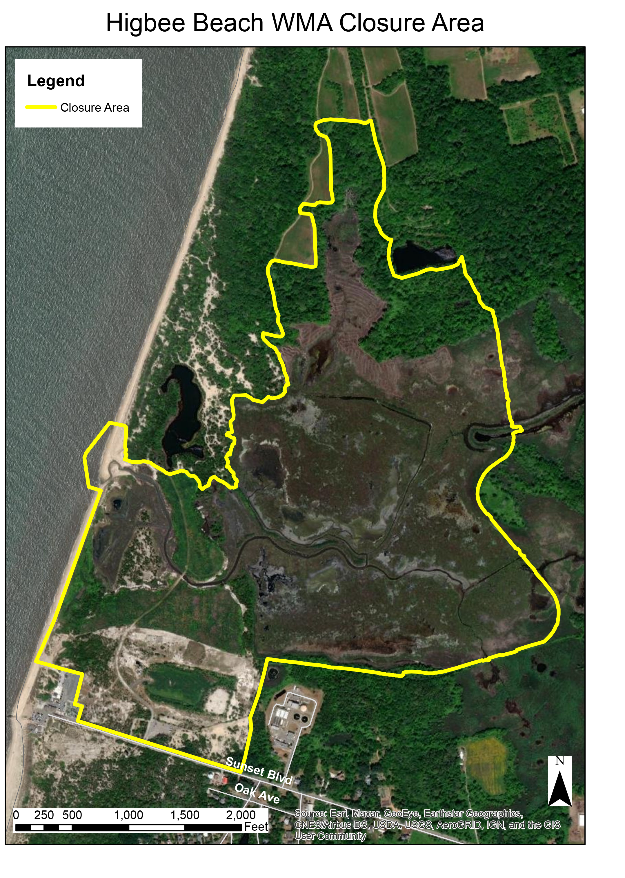 NJDEP| Fish &amp; Wildlife | Pond Creek Marsh (Higbee Beach WMA 
