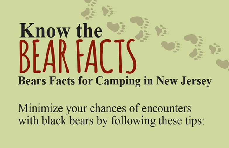 Get to Know The New Jersey Bear Facts