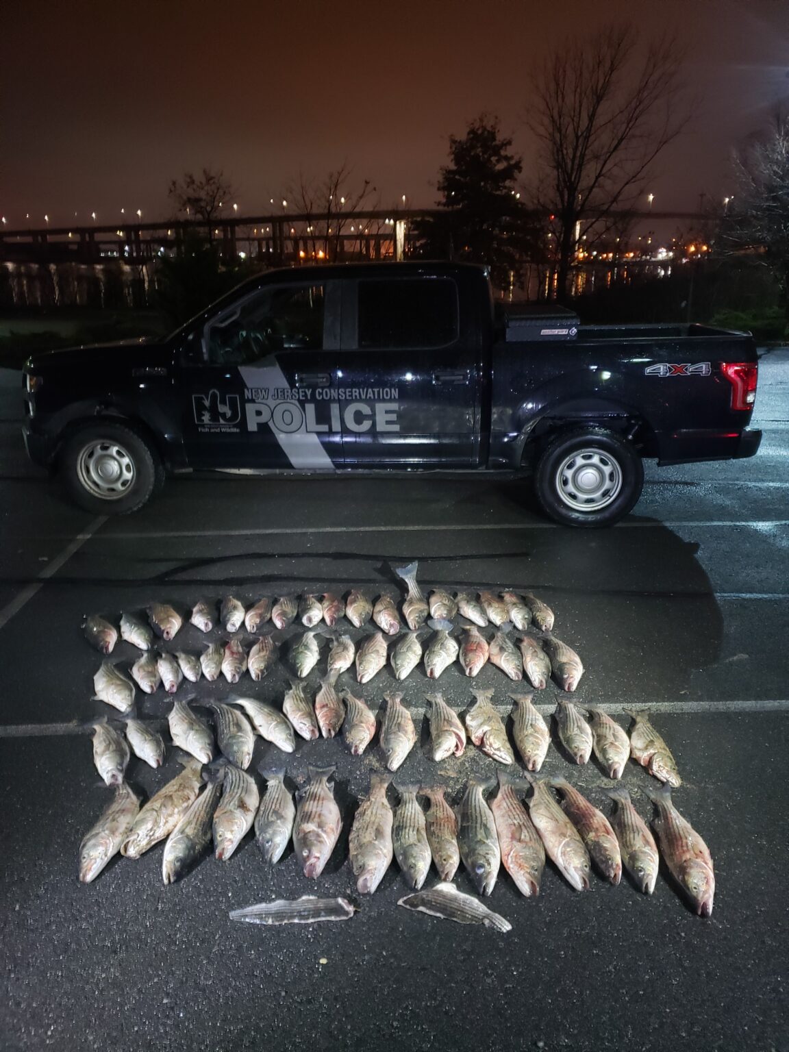 NJDEP Fish & Wildlife Bureau of Law Enforcement Receives Prestigious