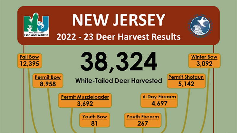NJDEP Fish Wildlife New Jersey 2022 23 Deer Harvest Results njdep-fish-wildlife-new-jersey-2022-23-deer-harvest-results