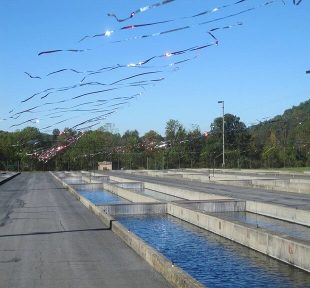 NJDEP Fish & Wildlife Pequest Hatchery Operations