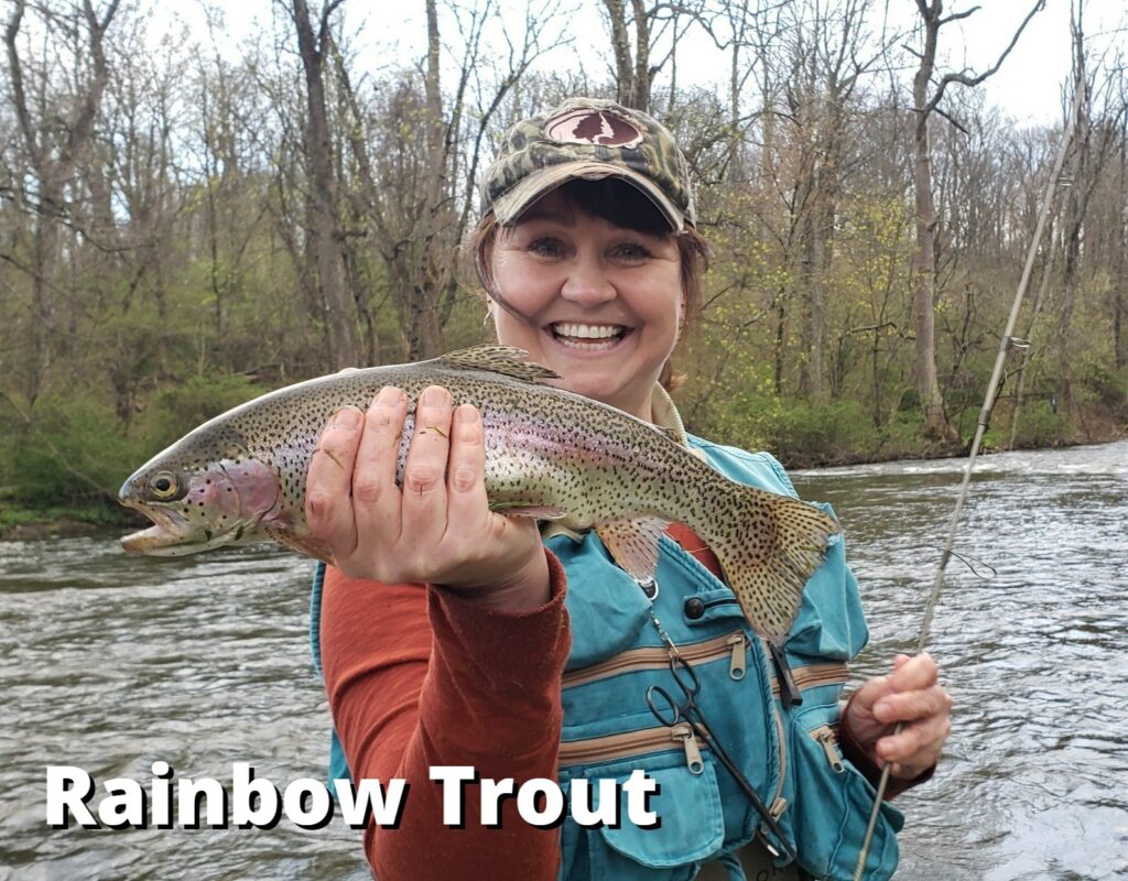 NJDEP Fish & Wildlife Trout Fishing Information