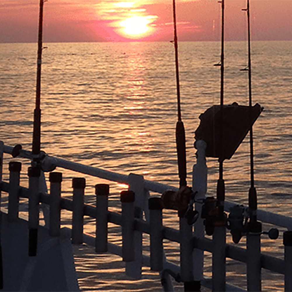 NJ Saltwater Fishing (NO POLITICS)