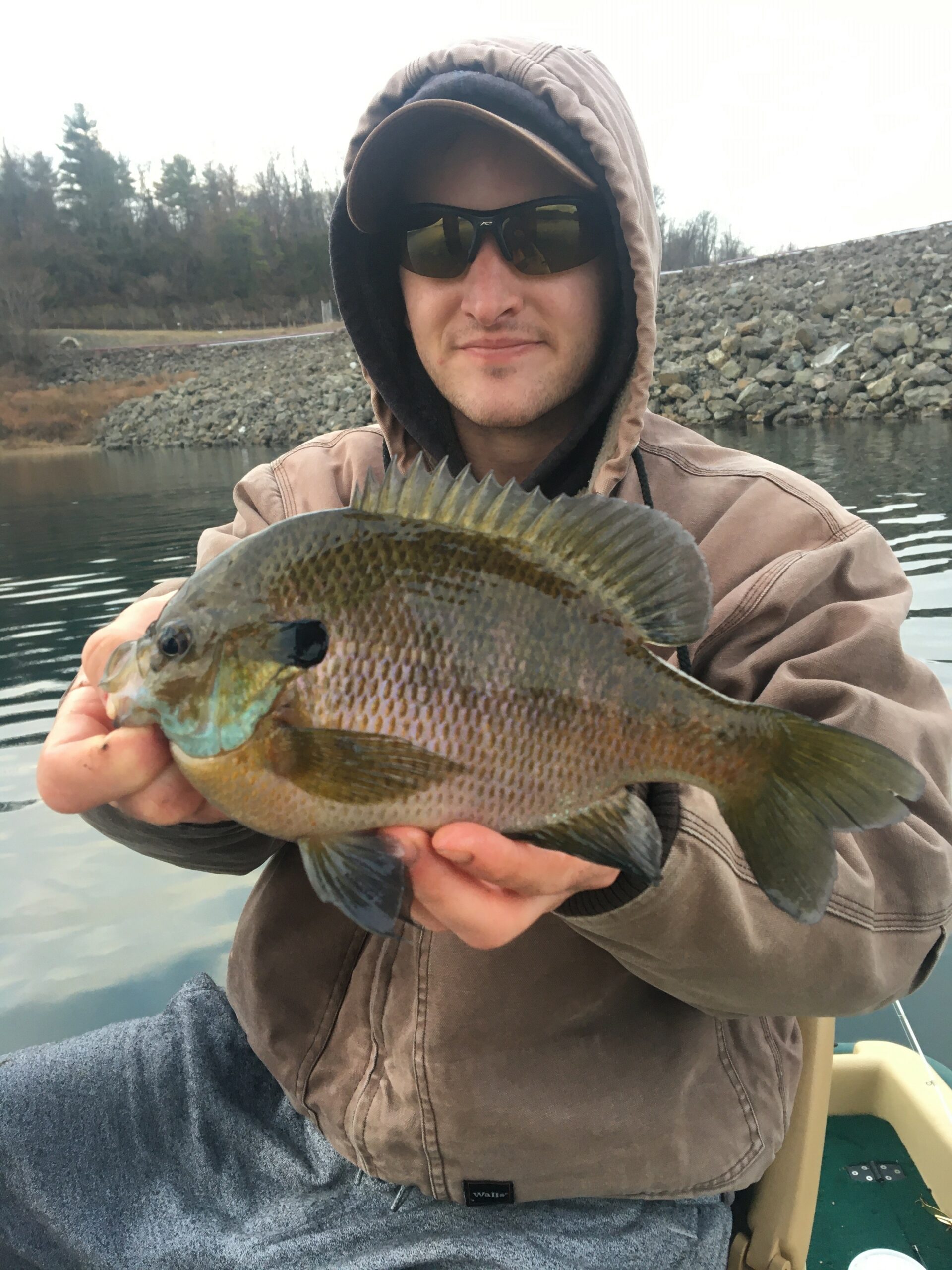 What Is A Panfish?, Popular Fish Category