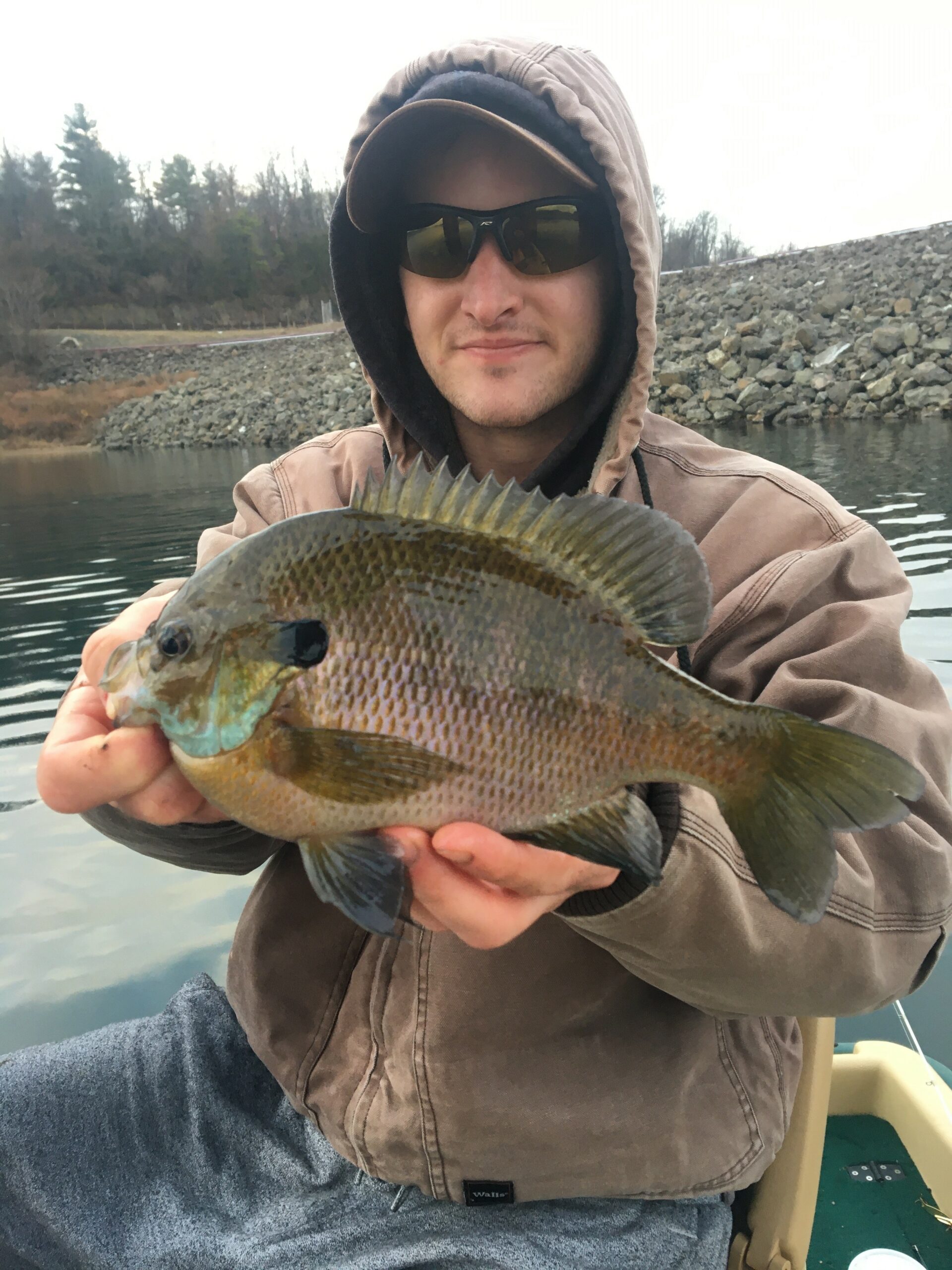 The Hunting and Fishing Library: Panfish