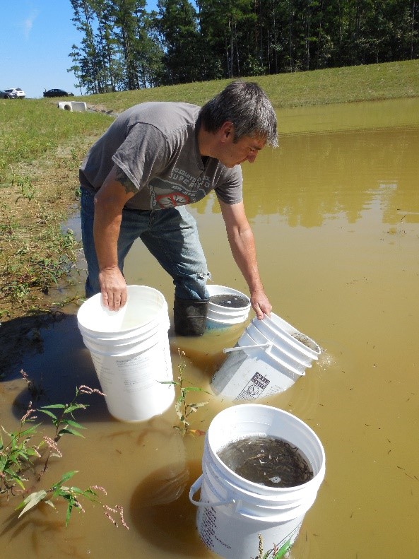 NJDEP| Fish & Wildlife | Other Stockings