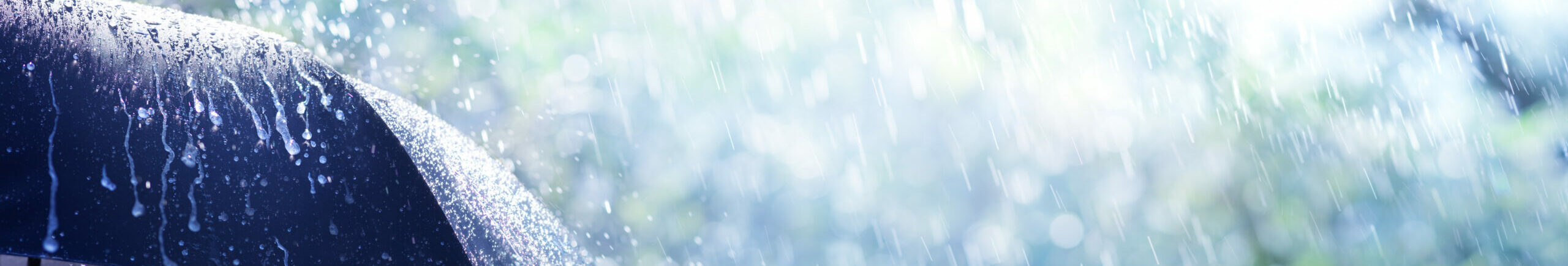 Rain On Umbrella - Weather Concept
