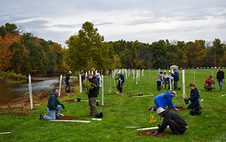 Cornell-Dubilier Electronics, Inc