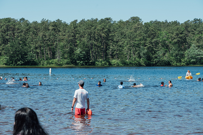 Bass River State Forest - State Parks, Forests & Historic Sites