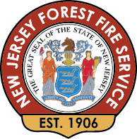 Forest Fire Service
